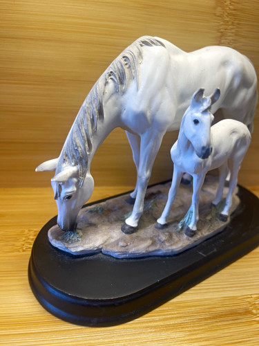 White horse mare foal - horse, &