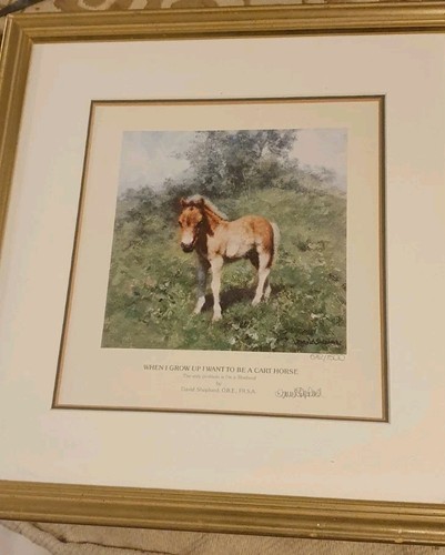 David shepherd limited - limited, edition