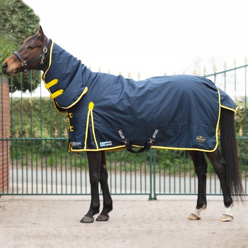 Gallop trojan ponie 200g - trojan,