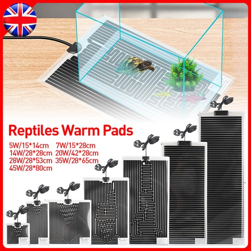 Reptile vivarium heat - vivarium,