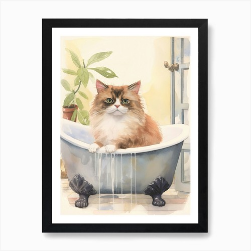 Himalayan cat bathtub - in,