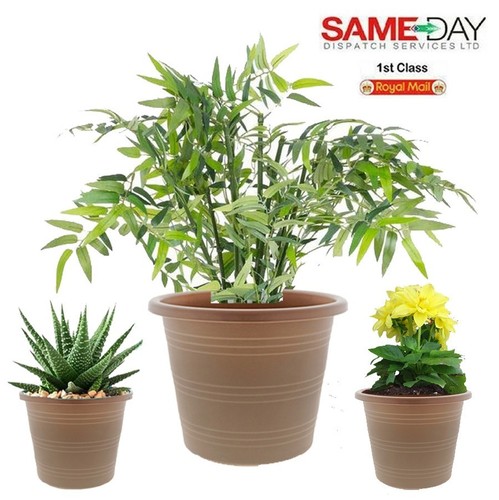 Plastic round venetian - round, plant