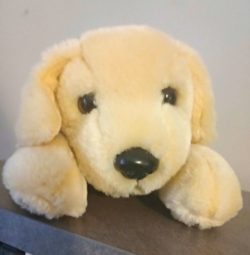 Andrex puppy years - puppy,