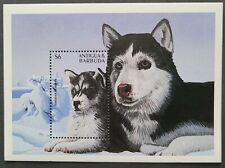 Antigua&Barbuda 1997 / Domestic Animals - Puppies - Siberian Huskies / 1v ms