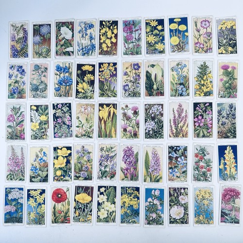 O wills wild flowers - w.d., &