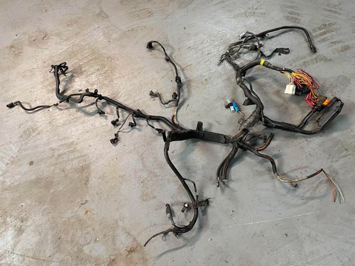 Engine ecu injector wiring - ecu,