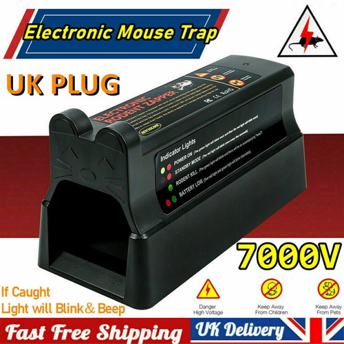 Electronic rat trap - trap, mouse