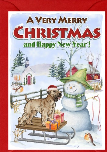Soft coated wheaten terrier - soft,