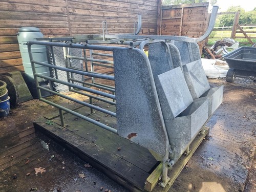 Sheep crush - feeder, /