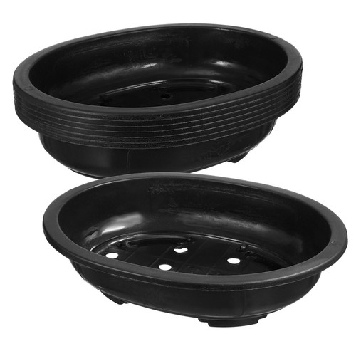Pcs large oval - 6, bonsai