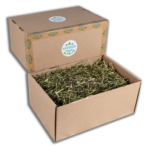 Lucerne alfalfa hay in pet - alfalfa,