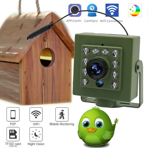 Green wifi bird - wifi,