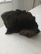 A Dark Piece Of Bogwood For Fishtank Floristry Vivarium