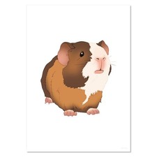 'Adorable Baby Guinea Pig'