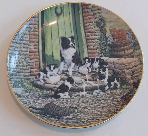 Border fine arts collectors - arts,