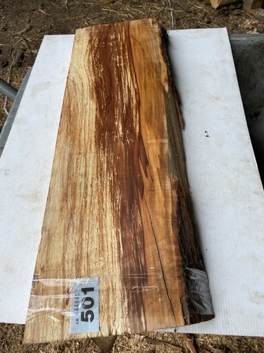 Apple plank spalted - apple, plank,spalted
