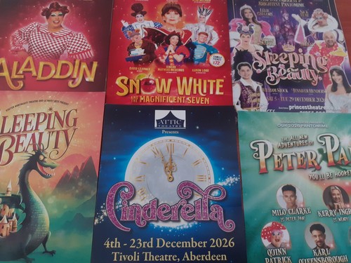 New 2026 2027 panto flyers - -,