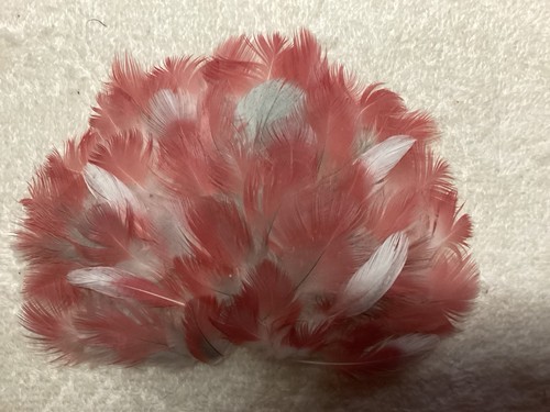 Pink body feathers 1 - (300),