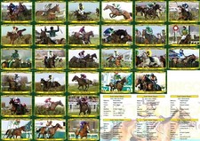 Grand National Winners Series