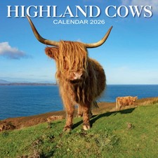 Highland Cow Calendar 2026