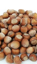 1 kg of Hazelnuts in shell Poland freshly picked Orzech Laskowy Hazelnut 2025