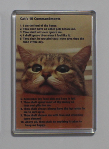 Cats commandments funny - cats, 10
