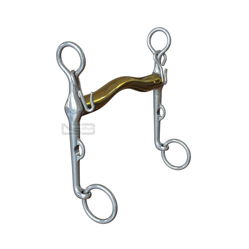 Neue schule starter weymouth - schule,