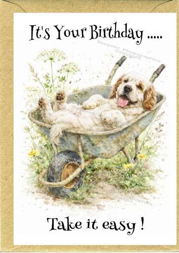 Clumber spaniel dog - dog, (4"x