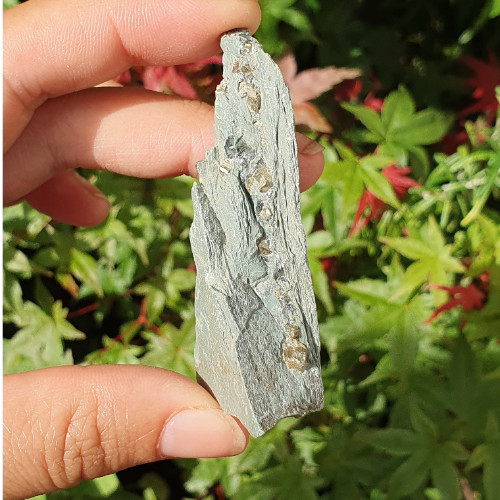 Iron pyrite slate rough - in,