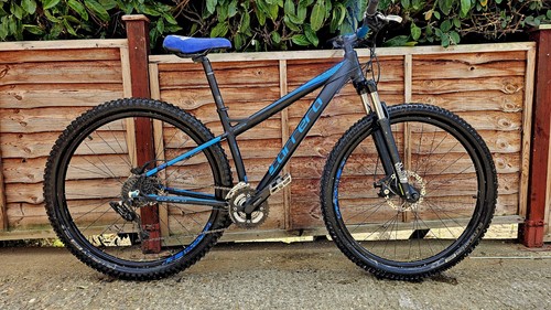 Carrera sulcata ltd edition - carrera,