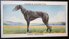 COURSING GREYHOUND  Waterloo Cup Winner   Vintage 1937 Card  DE10