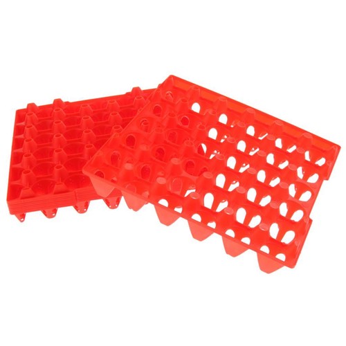 5pcs chicken eggs tray - eggs,