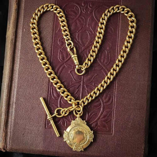 Antique edwardian albert - antique, chain