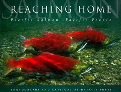 Reaching home pacific salmon - reaching, home: