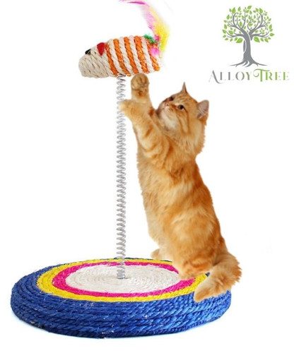 Interactive cat kitten spring - cat,