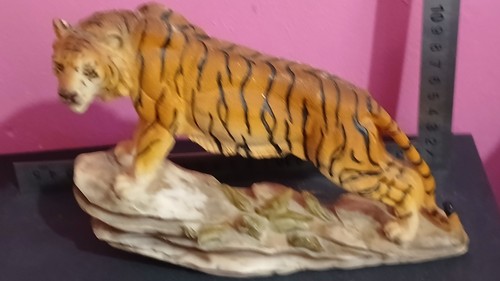 Majestic prowling tiger - prowling,