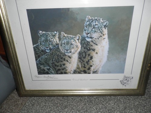 Proud mother stephen gayford - mother',
