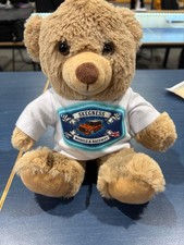 Skegness model raceway teddy - model,