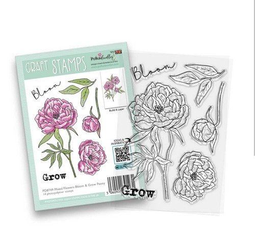 Mixed flowers bloom grow - flowers, &
