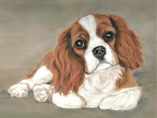 Original art print cavalier - original,