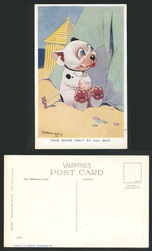 Bonzo dog studdy - dog, old