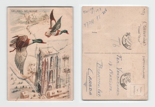 Postcard dutch new - -,