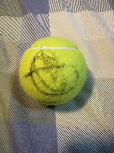 Signed novak djokovic wilson - signed,
