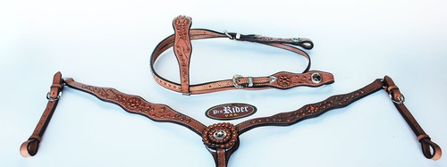 Horse show tack bridle - show,