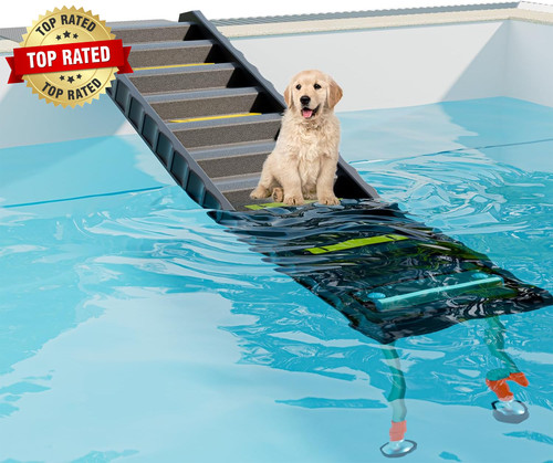 Foldable dog pool - foldable, ramp