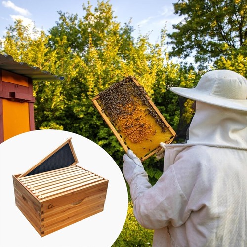 Frame cedar bee hive - 10-frame,