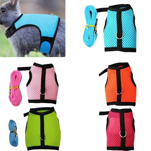 Pet accessories rabbit - pet,