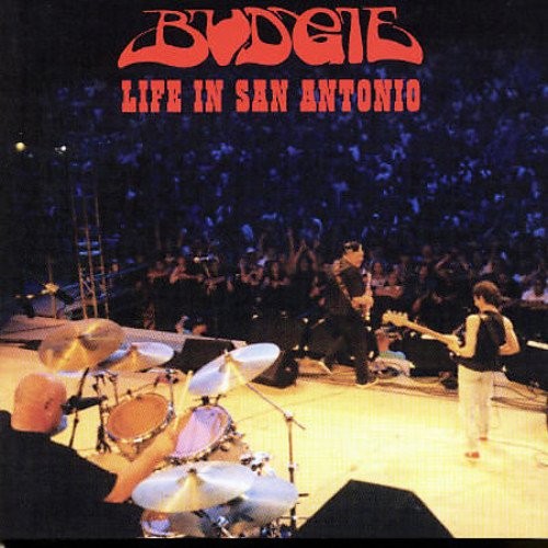 Budgie life san - budgie, in