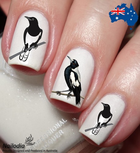 Magpie crow lovers nail art - magpie,