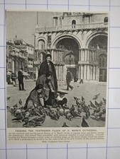 Feeding the feather flock at st. Mark's cathedral pigeons Piazza c 1920